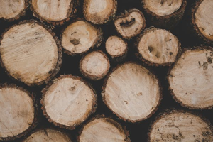 Kwaliteit als Fundament: Hoe Slimme Vastgoedkeuzes en Hoogwaardig Hout Elkaar Aanvullen 
